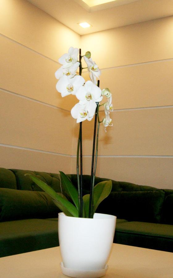 بلغراد Apartment Jasmine 2 المظهر الخارجي الصورة
